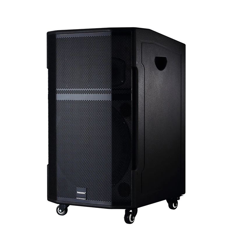 Professional Speaker High-End Wireless Bluetooth Speaker Gd15-25