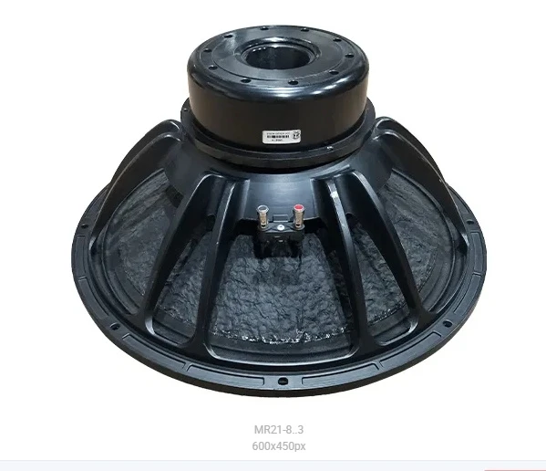 Professional Speaker Manufacturer High Quality High Power Neodymium 21 Inch 2000W Subwoofer