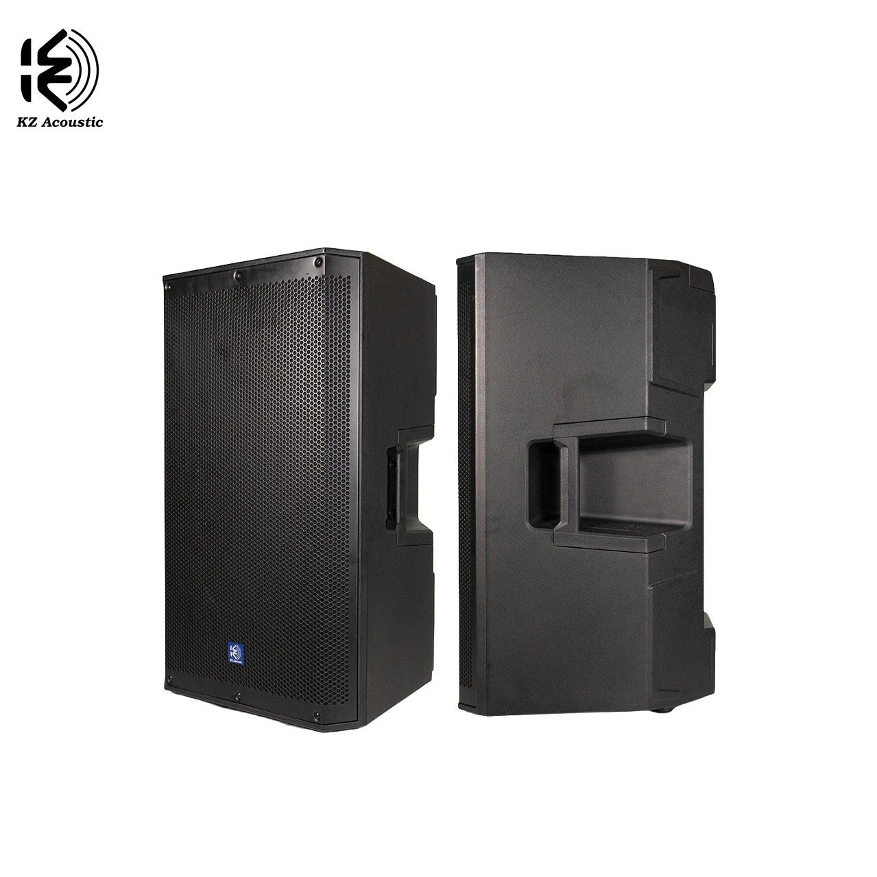 R12b 12 Inch 2 Way DSP Active PA Speaker