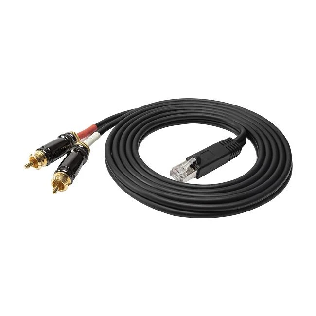 RJ45 Male to 2 X RCA Stereo Audio Cable