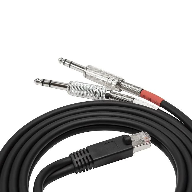 RJ45 Male to 2 X Stereo 6.3mm Trs Audio Patch Cable