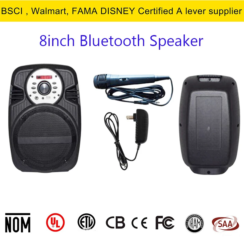 Rechargeable 8inch Woofer Karaoke Player Bluetooth Loud DJ Speaker with USB