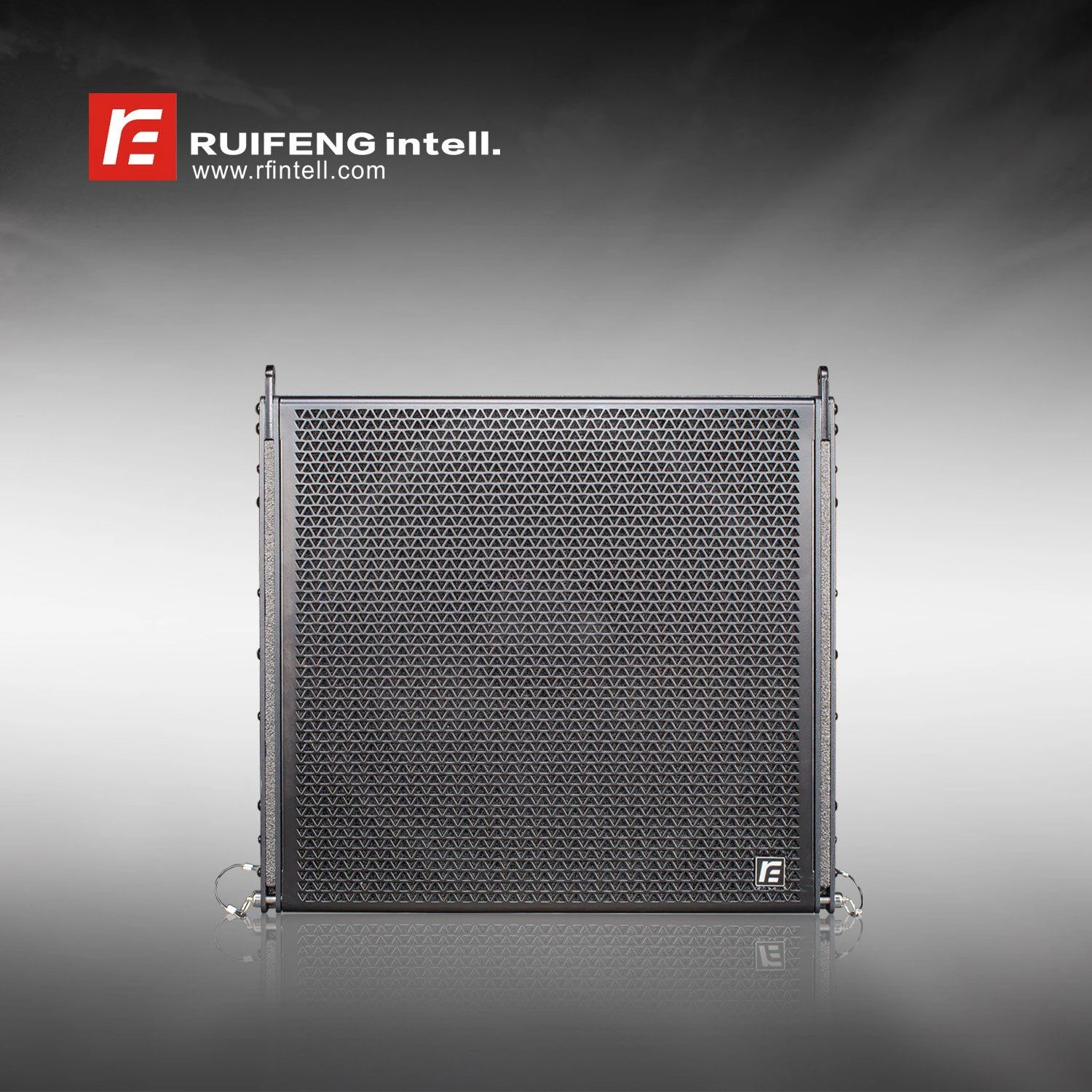 Ruifeng-High-End 18″ Self-Powered Subwoofer with DSP for DJ Bar/ Touring Performances/ Live Show/ Concert/Hotel