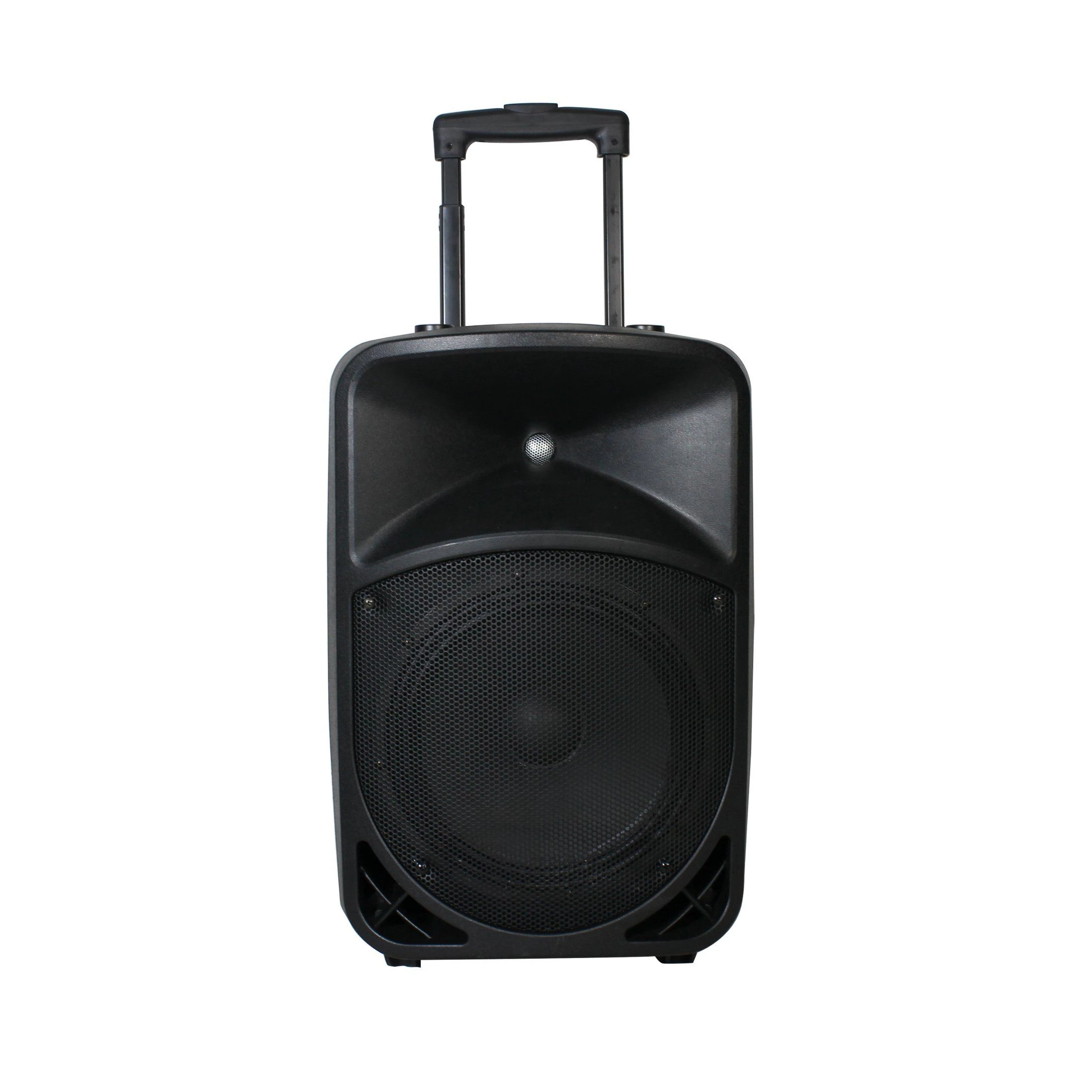 SL10-06 Portable Trolley Speaker 10 Inch Bluetooth Active Speaker with Built-in Amplifier
