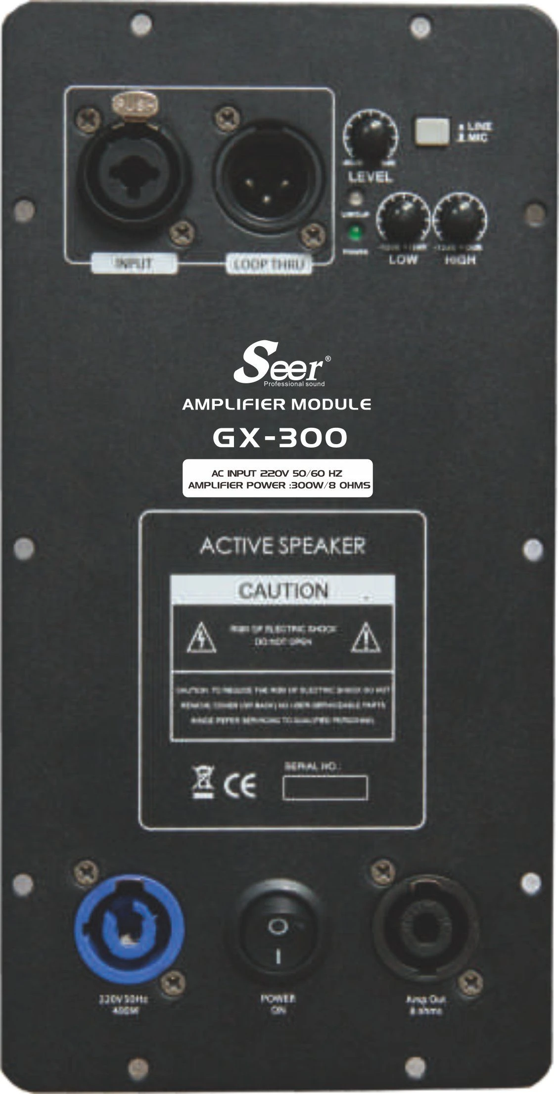 Seer Audio Digital Amplifier High-Power Digital Amplifier Board Receivers Amplifiers Module