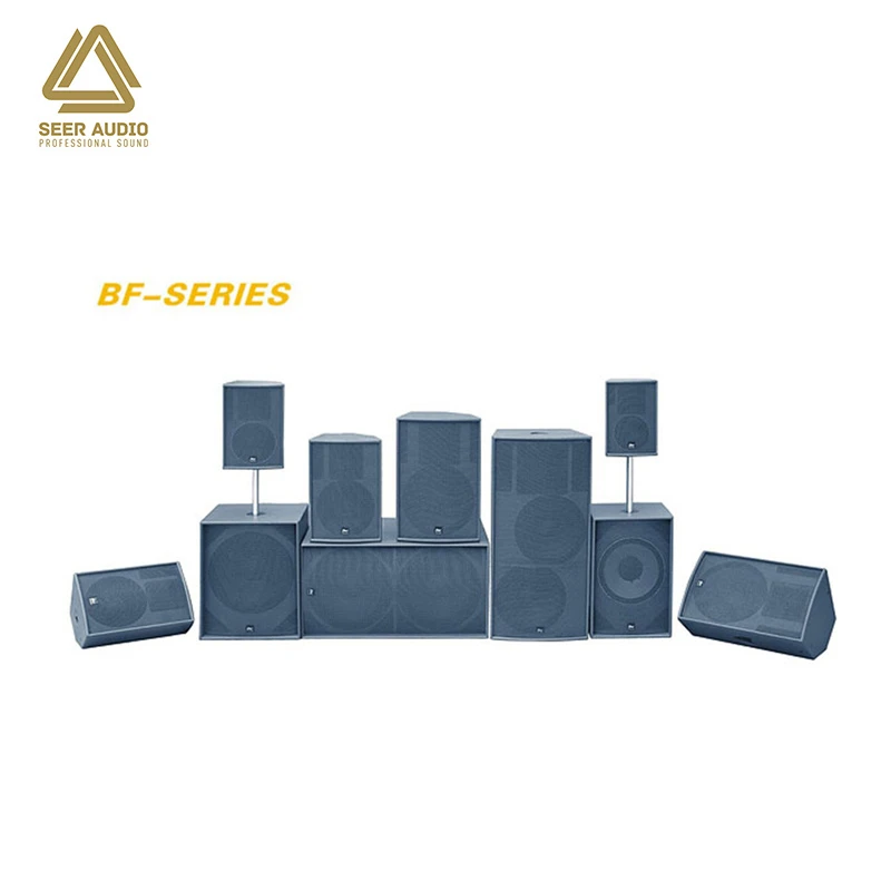 Seer Audio New Trending Dual 12 Inch 2 Way Array Speaker Box Professional Audio Sound Equipment
