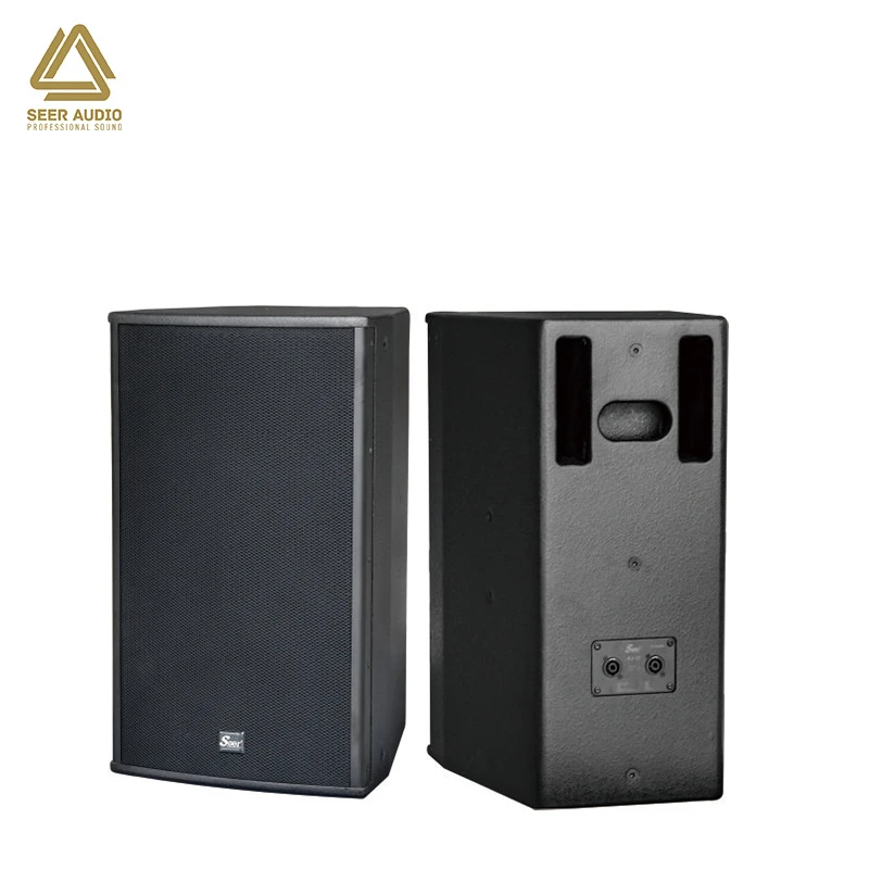 Seer Audio Professional KTV Sound Commercial Karaoke System Whole Set with 12 Inch Stage Speaker for Party Room