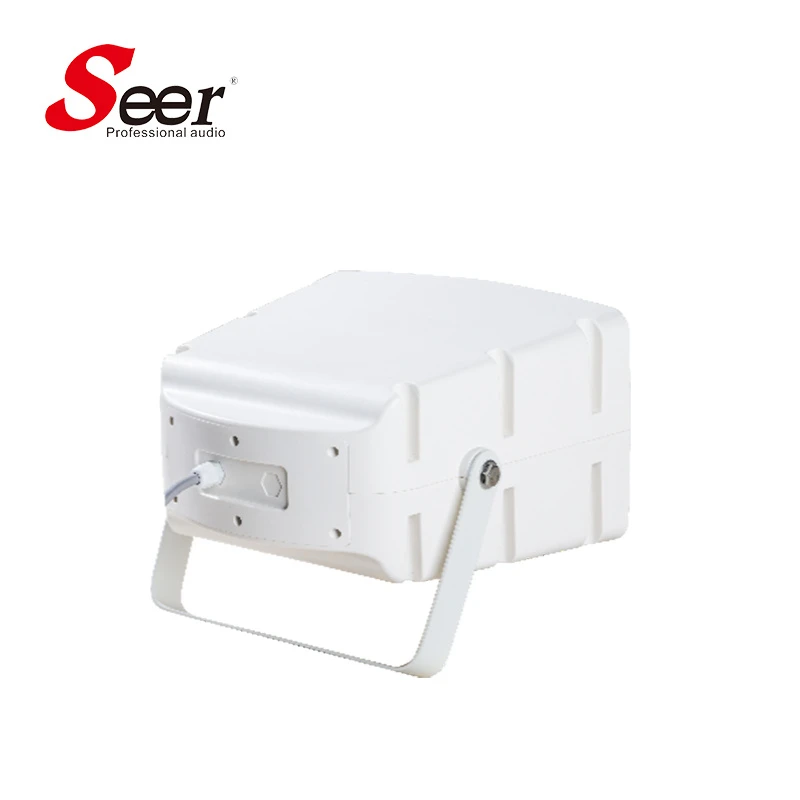 Seer Audio Speaker Audio 45W Super Wall Mount Speaker for Home