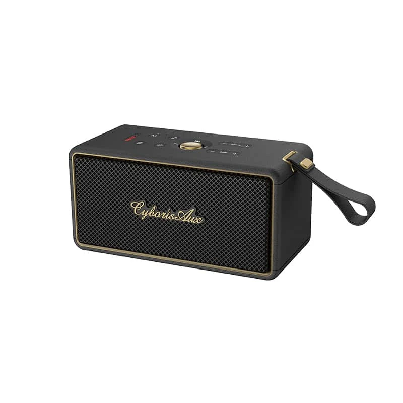 Shockproof Treble Control 5200mAh Battery Home Speaker for Gift