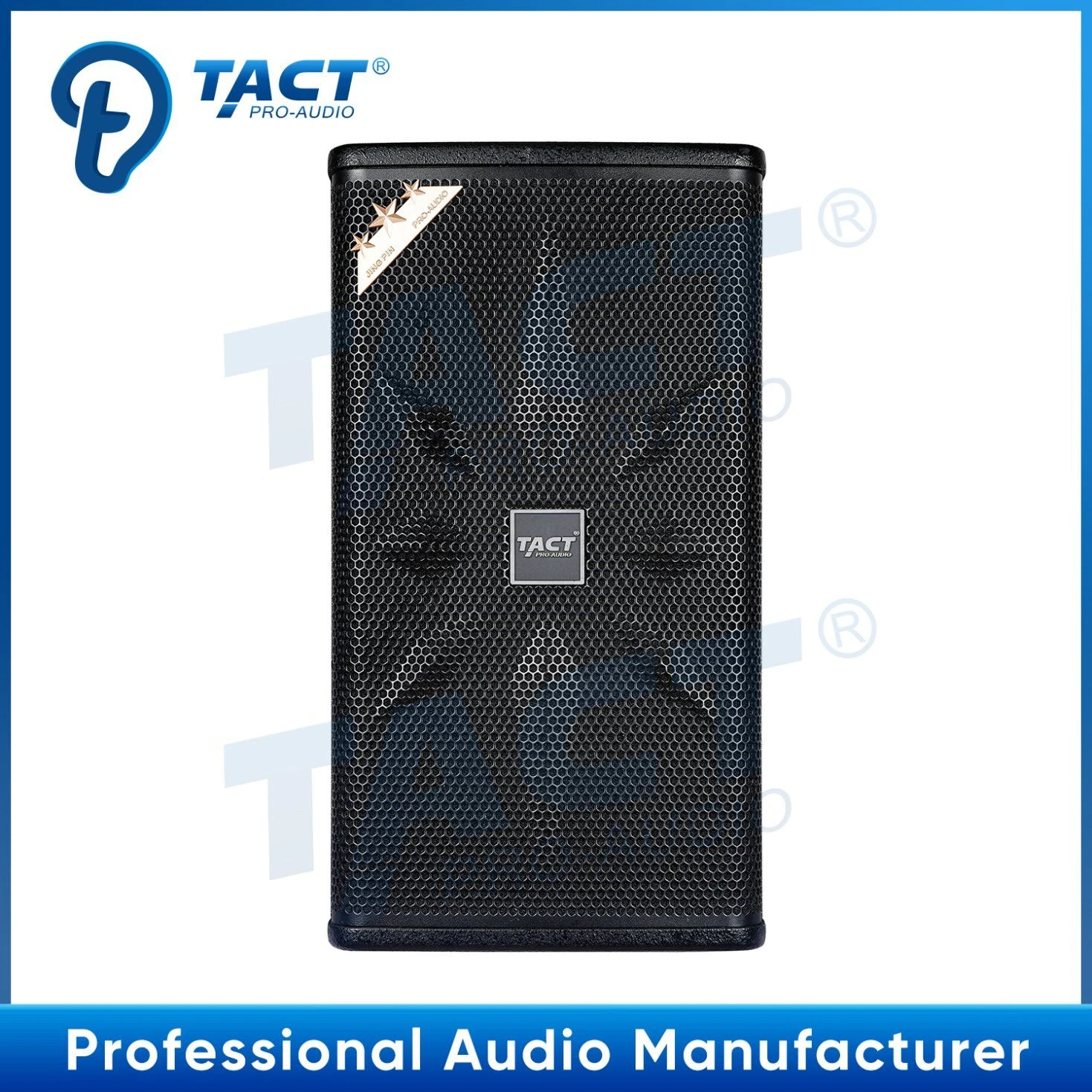 Single 10 Inch Home Theater System Special Speaker for KTV Entertainment