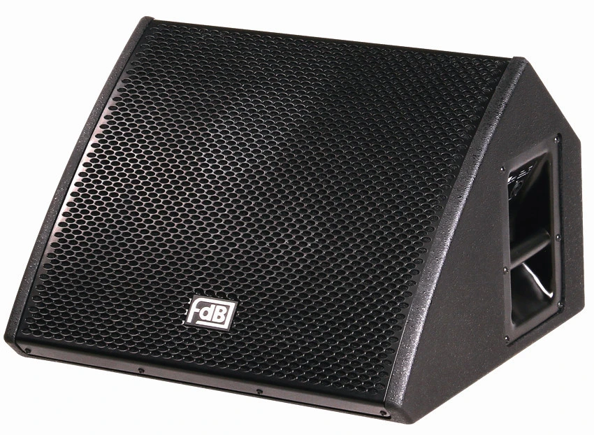 Single 12″ Coaxial Stage Monitor PA Speaker