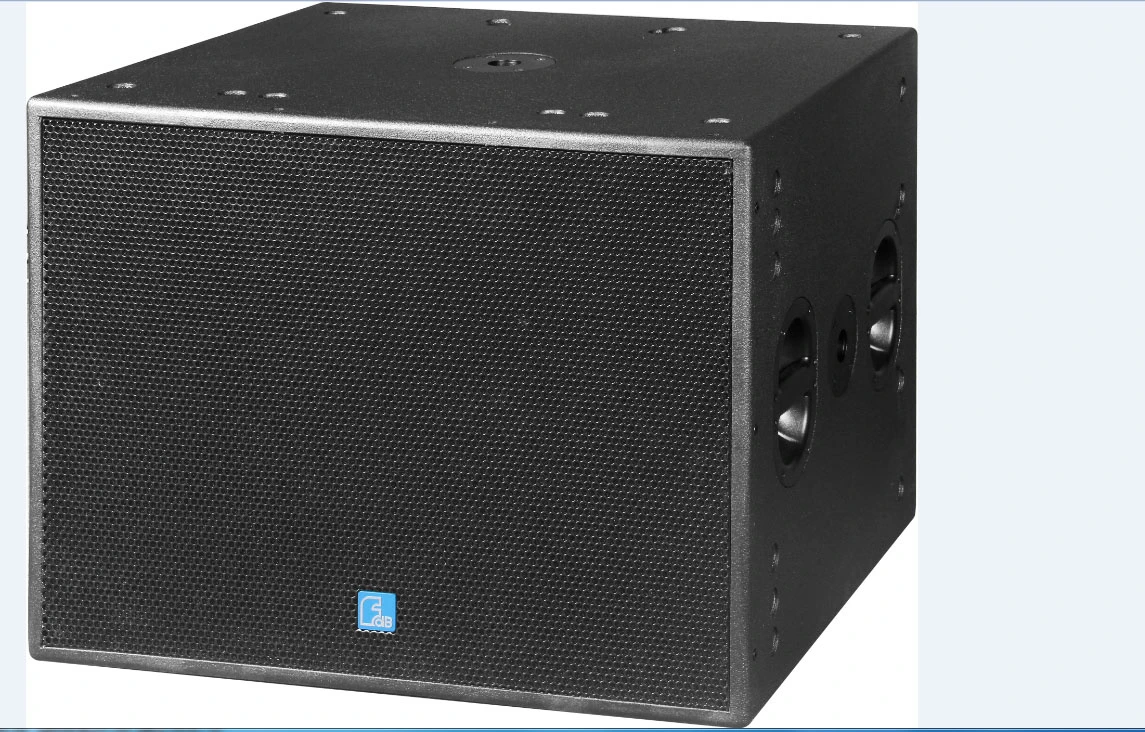 Single 21â² â² Subwoofer