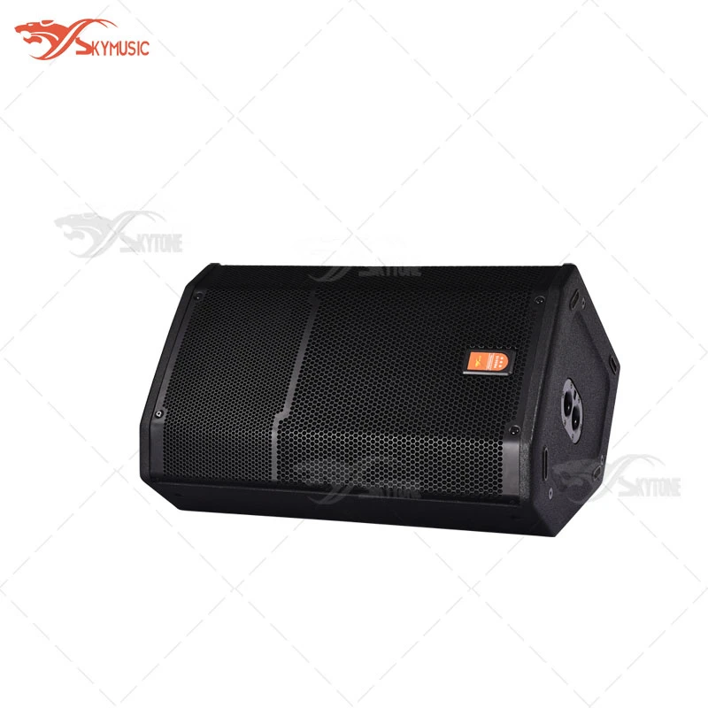 Skytone Audio 15 Inch Powered DJ Speakers Box Prx615m