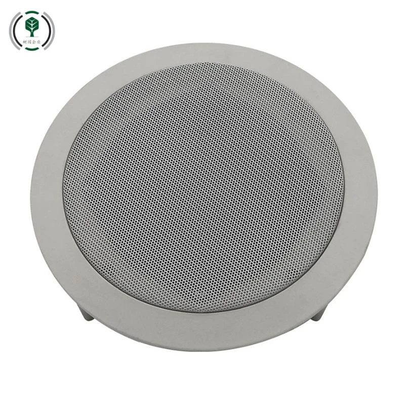 Slim Design Space Saving Invisible Ceiling Mounted Speaker