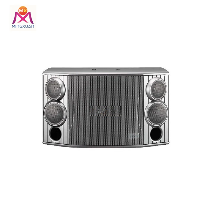 Speaker Karaoke Outdoor Professional Amplifier Audio Party Speaker Equipment