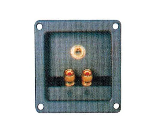 Speaker Terminal W/Metal Binding Post (CH11168)