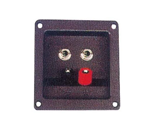 Speaker Terminal W/Metal Binding Post (CH11169)