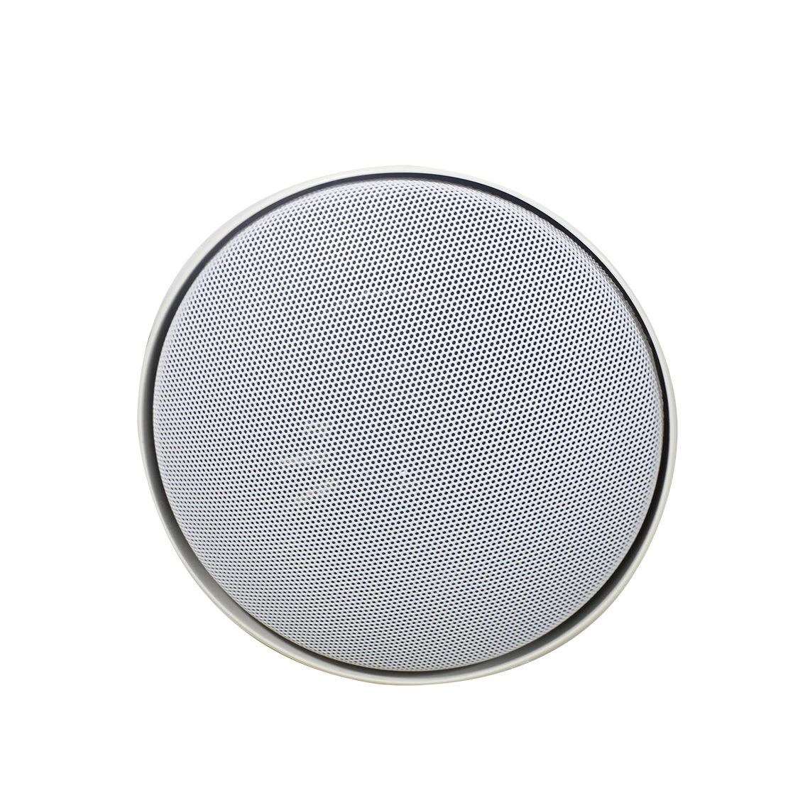 Stylish and Outstanding Design Inspired by The Finest Lighting Fixtures Altoparlante 5 Inch Pendant Speaker with Elegant Outlook