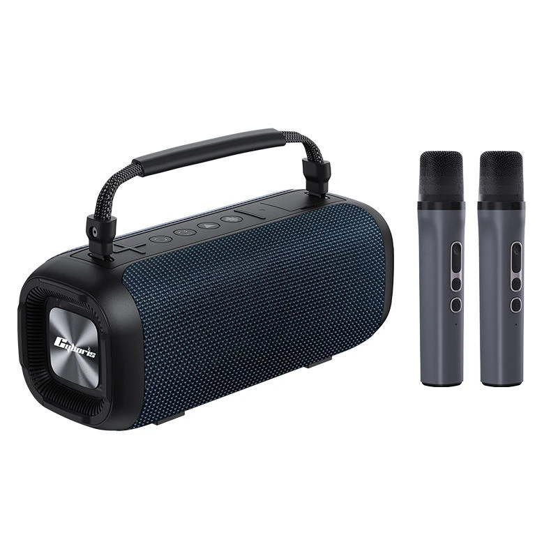T12 Powerful Portable Dual Speaker, Outdoor Karaoke Waterproof Wireless Stereo Speaker, Indoor and Outdoor EQ Sound Switching