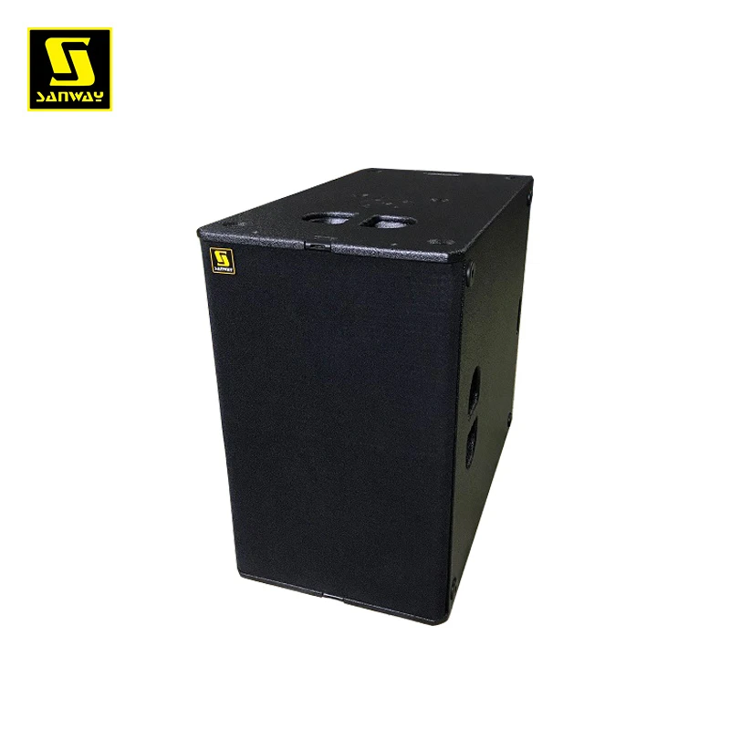 T24n Dual 12 Inch Powered Sound Speaker for Indoor Outdoor Show