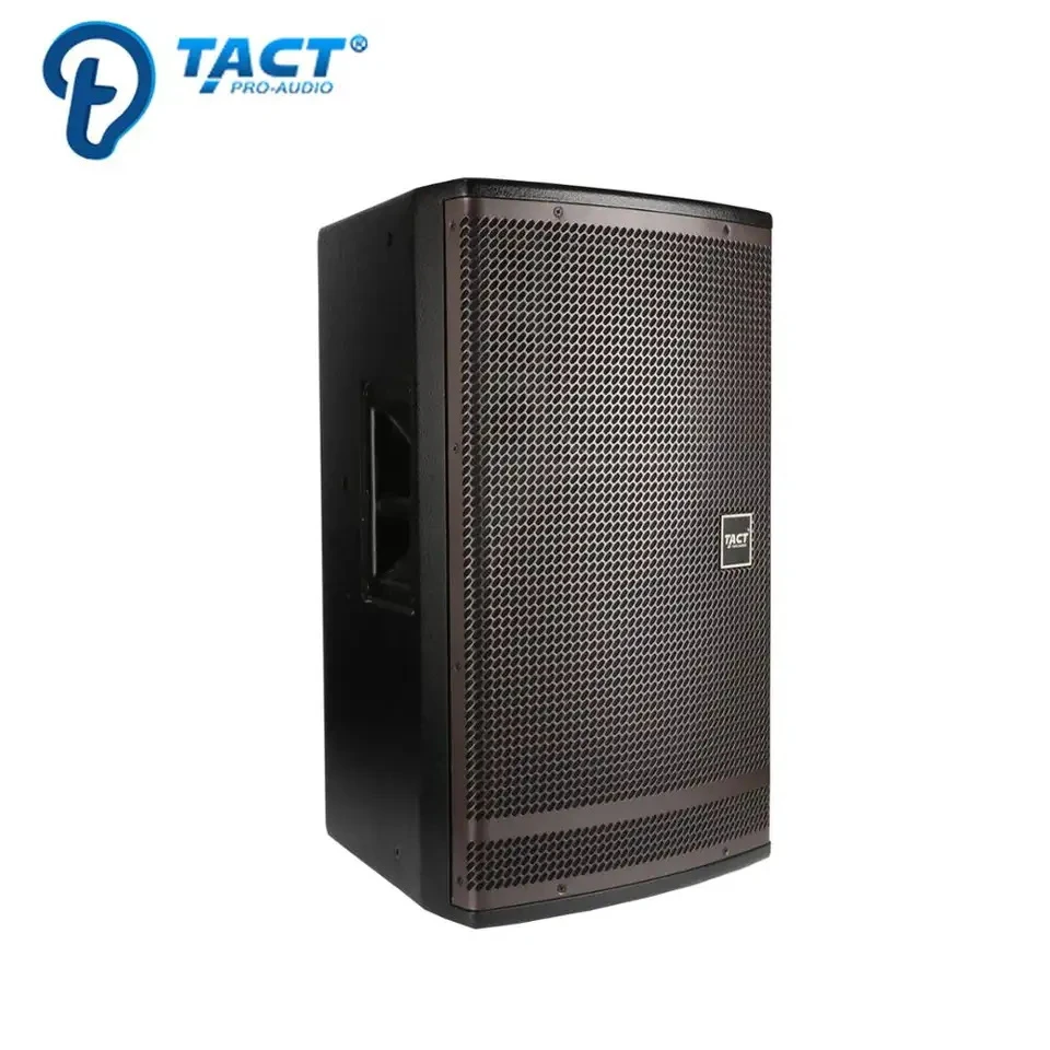 Tact Ba15p 500W Dual 15inch Multi-Purpose Audio Loudspeaker China PA Speaker