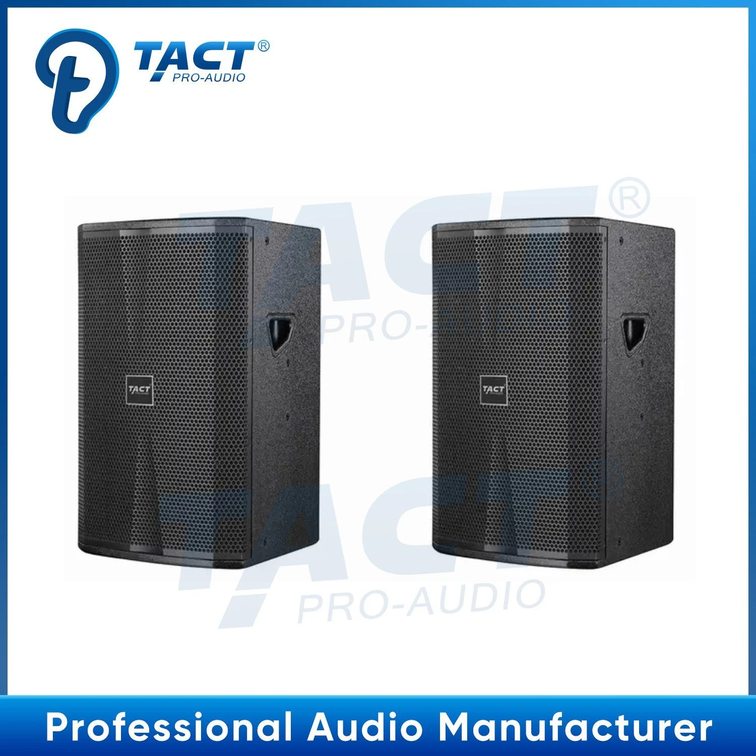 Tact Hot Sale PRO Sounds Speaker with 10″ Driver for Conference Hall