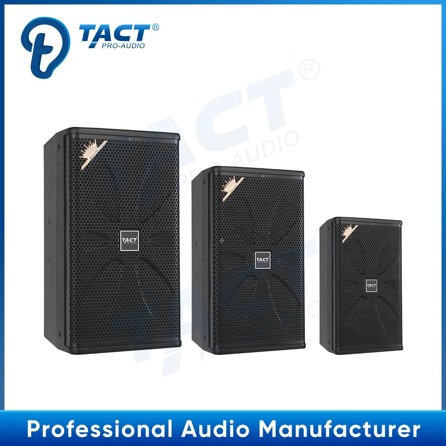 Tact Ka10 Single 10 Inch Home Theater System Speaker for KTV Entertainment