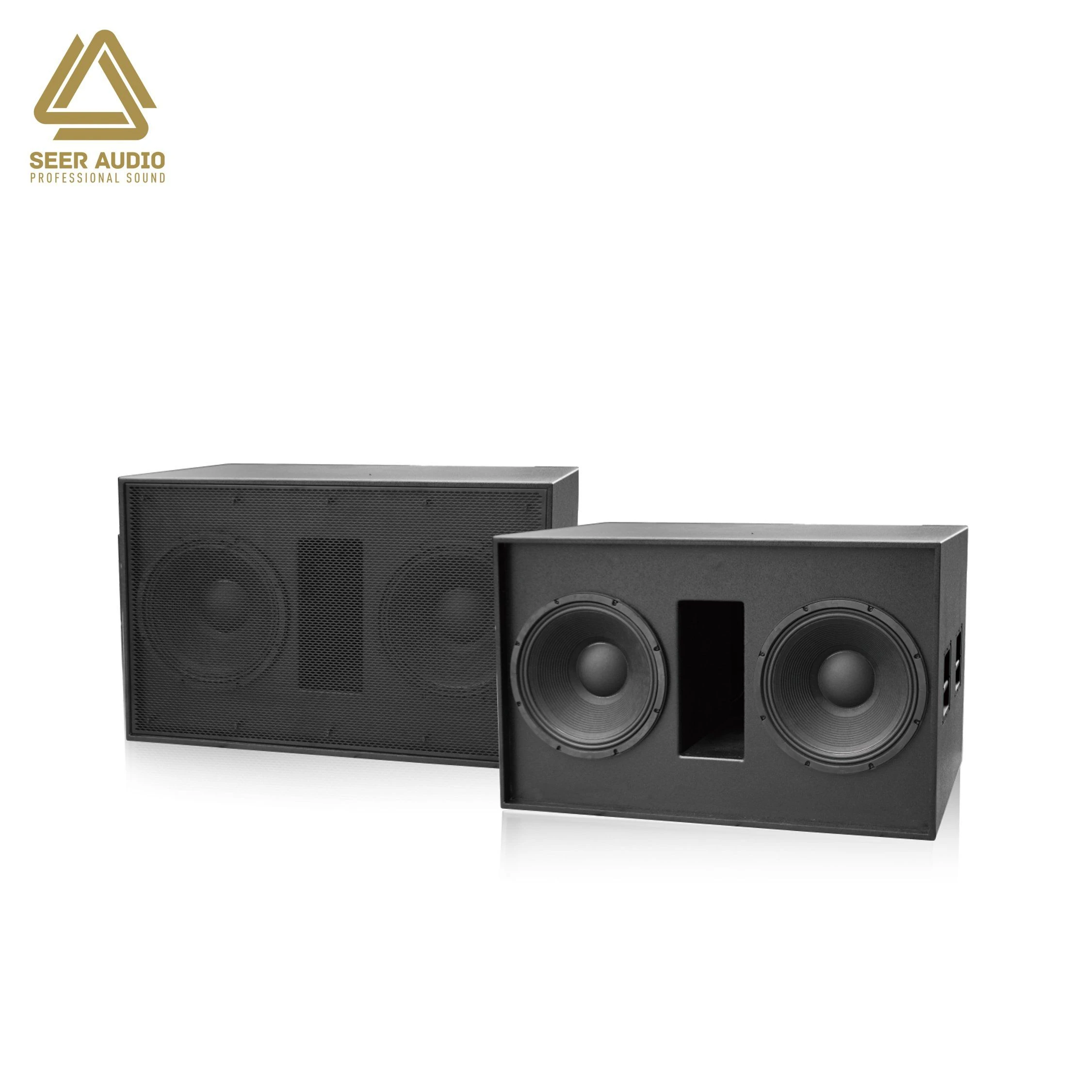 Td-218b Dual 18 Inch Professional Audio Digital Amplifier Home Theater System Line Array