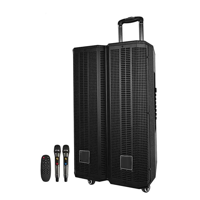 Temeisheng 12 Inch 3 Way 100W Portable Wireless Outdoor Trolley Wood Speaker with 2 Microphones