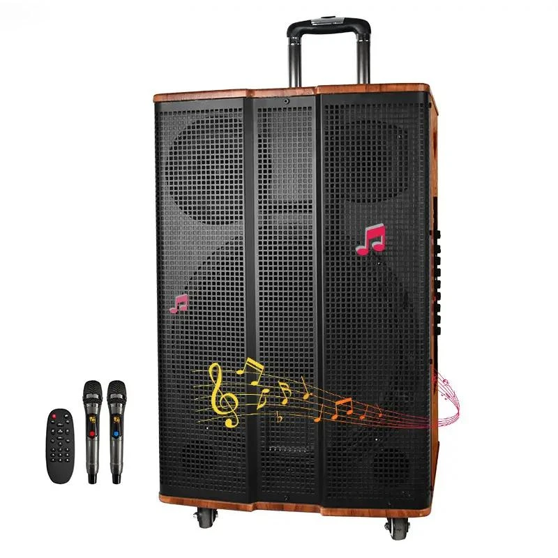 Temeisheng 15 Inch Wooden Cabinet Wireless Bluetooth Outdoor Portable Trolley Wood Speaker