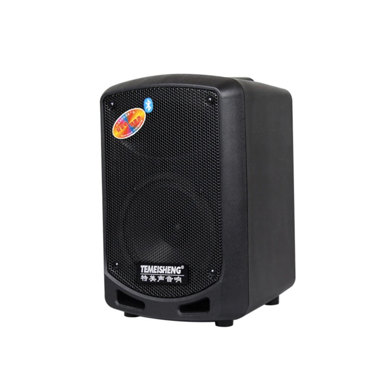 Temeisheng 6 Inch A6-10 Mini Bluetooth Portable Wireless Active Speaker
