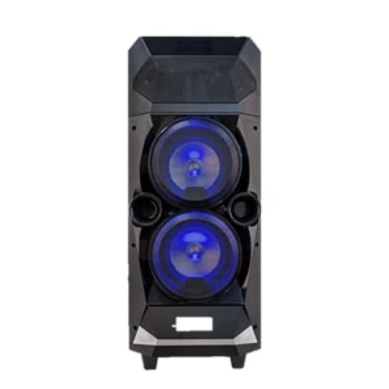 Temeisheng Al9906 6 Inch Recording FM Radio Active Speaker