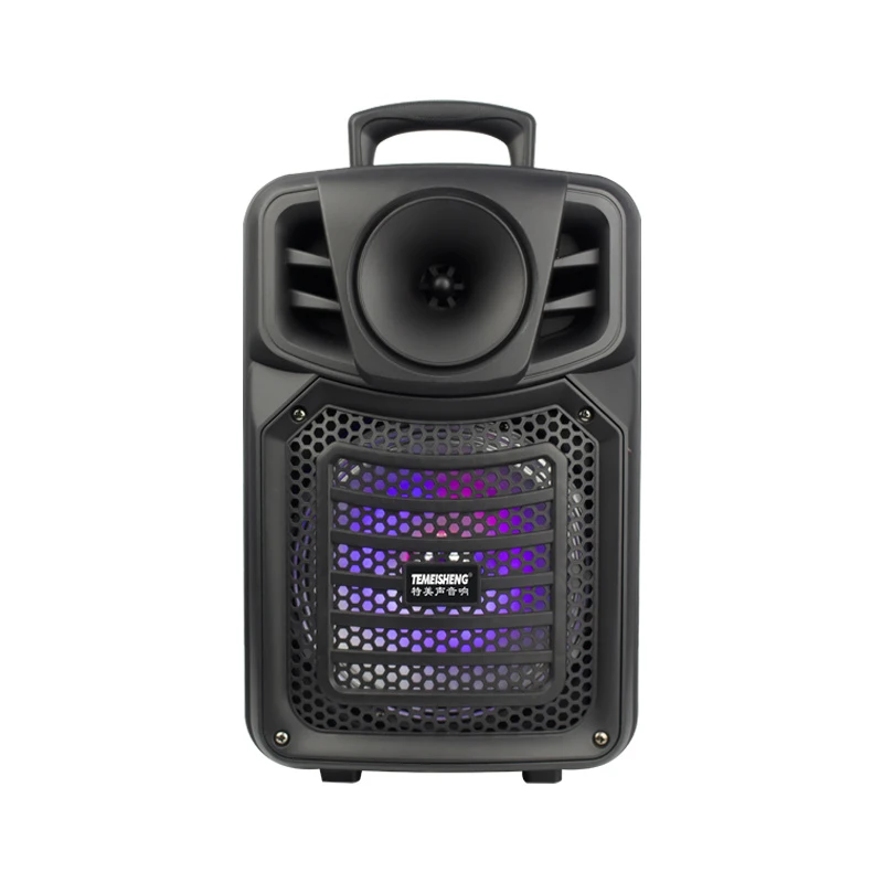 Temeisheng Cheap 8 Inch Custom Wireless Portable DJ Karaoke Bluetooth Audio Party Speaker