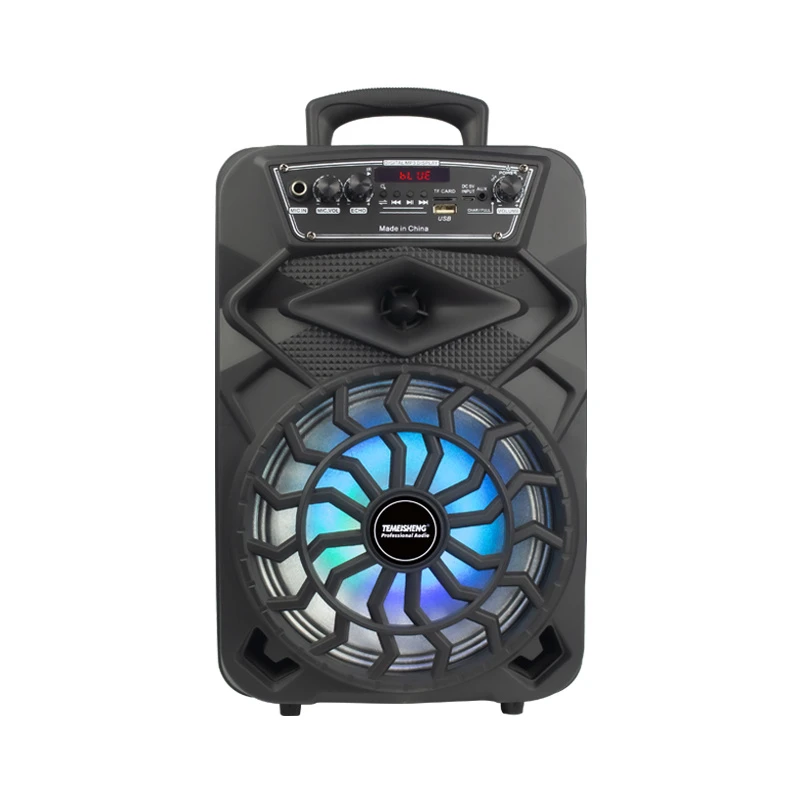 Temeisheng Factory 8 Inch Wireless Portable Powerful Karaoke Outdoor Party Speaker with Mic