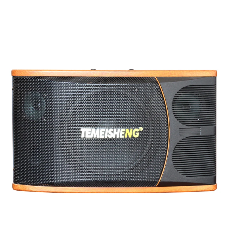 Temeisheng KTV101 KTV Karaoke Speaker Set