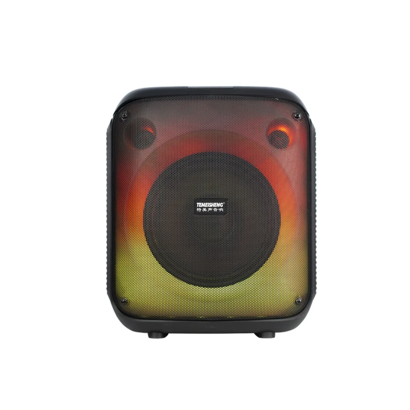 Temeisheng New Model 8 Inch 50W Professional HiFi Karaoke RGB Portable Bluetooth Party Speaker
