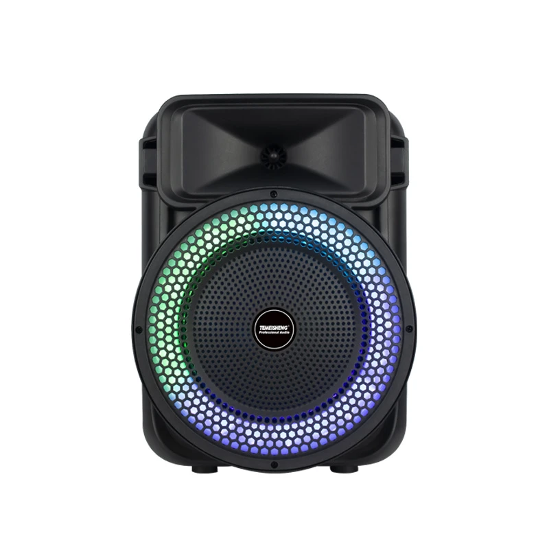 Temeisheng New Single 8 Inch 30W Professional HiFi Karaoke Bluetooth Party Speaker with Mic