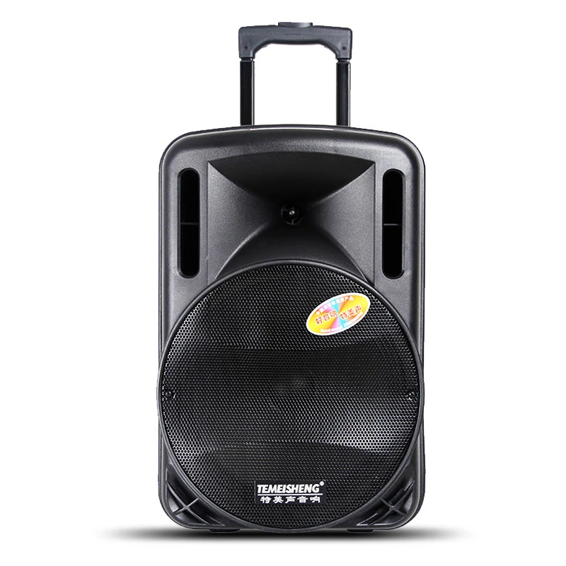 Temeisheng PT-1265A Portable 12 Inches Speaker System with Wireless Microphones