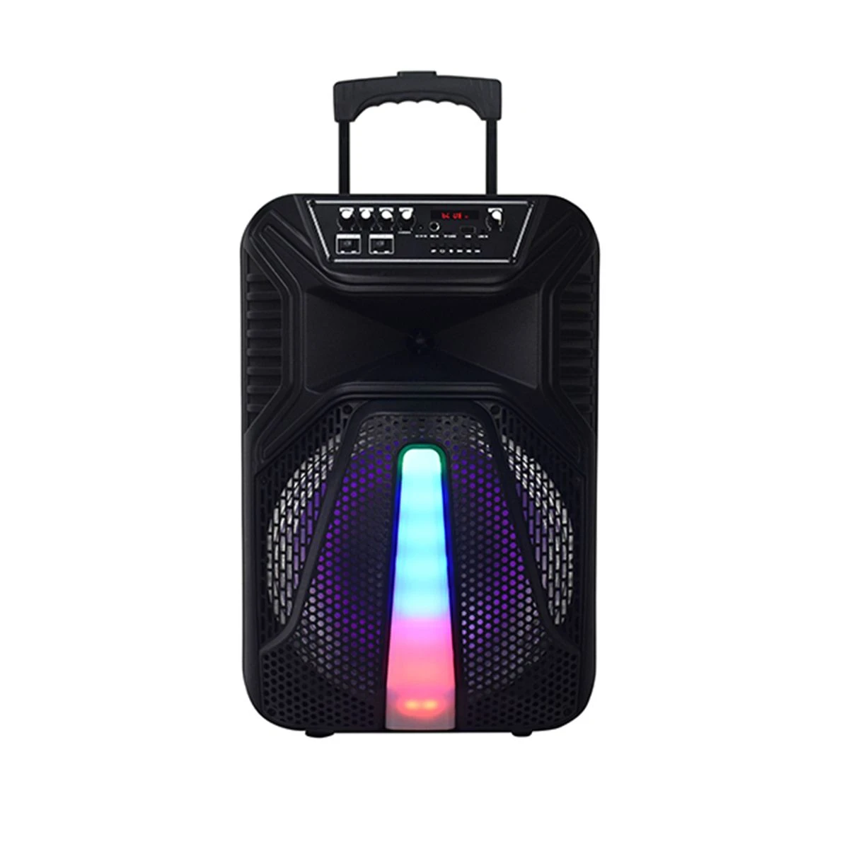 Temeisheng Party Box 12 Inch LED Light Portable Battery Active Audio Loud Speaker Tms-1209
