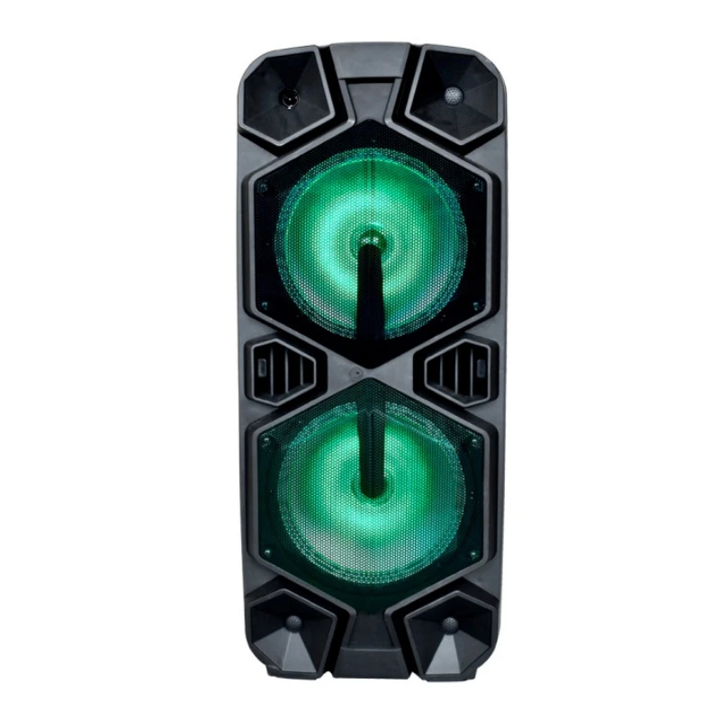 Temeisheng Party Box SL212-10 Dual 12 Inch Portable Bluetooth Powerful Active Speaker with Light