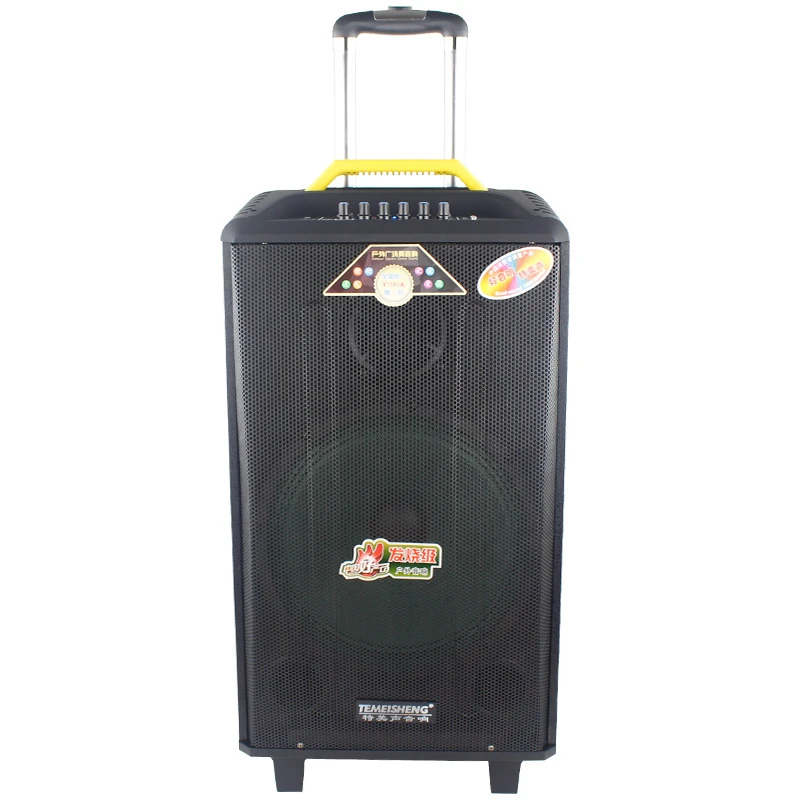 Temeisheng Qx-1014 10inch High-End Wood Box Wireless Portable Trolley Speaker
