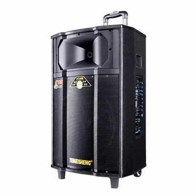 Temeisheng Qx-1509 Subwoofer Speaker with Wireless Microphone