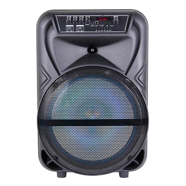 Temeisheng Speaker Factory 12 Inch Outdoor DJ Partybox Trolley Speaker Tms-1207