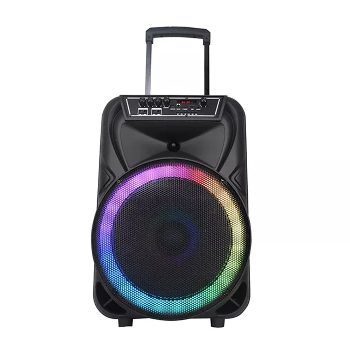 Temeisheng Speaker Factory Promotion 12 Inch LED Bluetooth Tws Audio Trolley Speaker Tms-1205