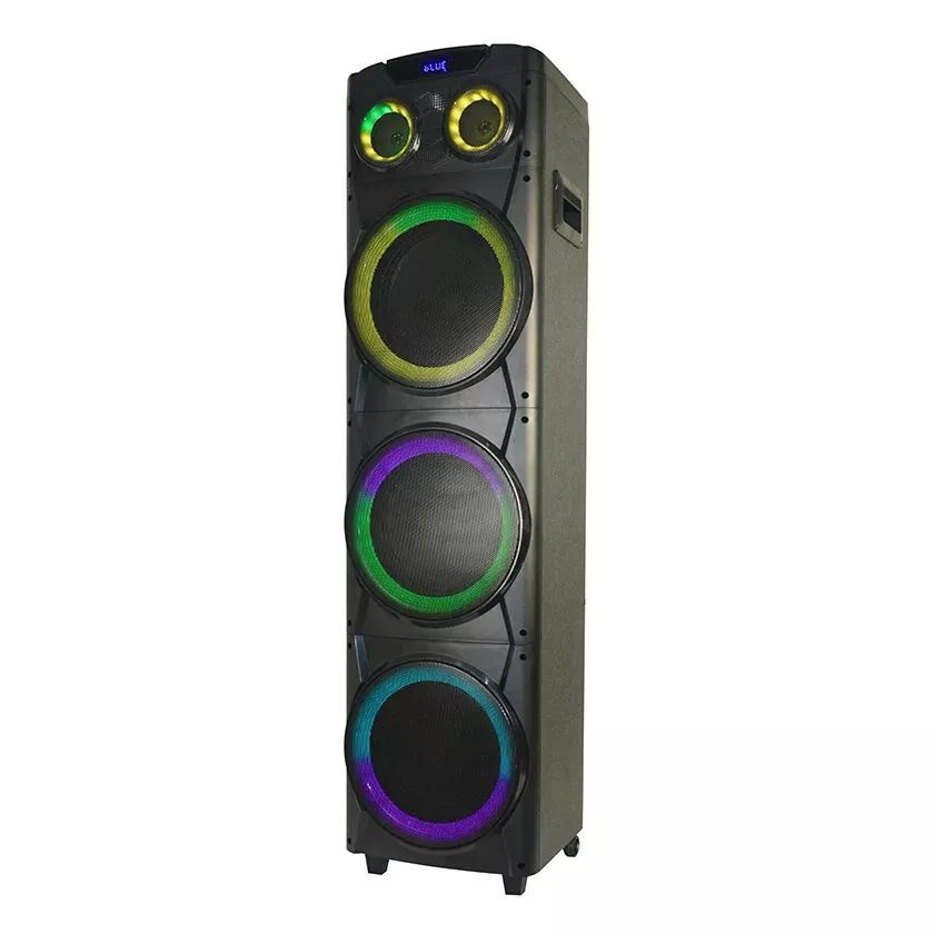 Temeisheng Wooden High Quality Speaker 3 Way 10 Inch Large Sound Stereo Speaker 200W Powerful Bluetooth Portable Wireless Speaker Rechargeable
