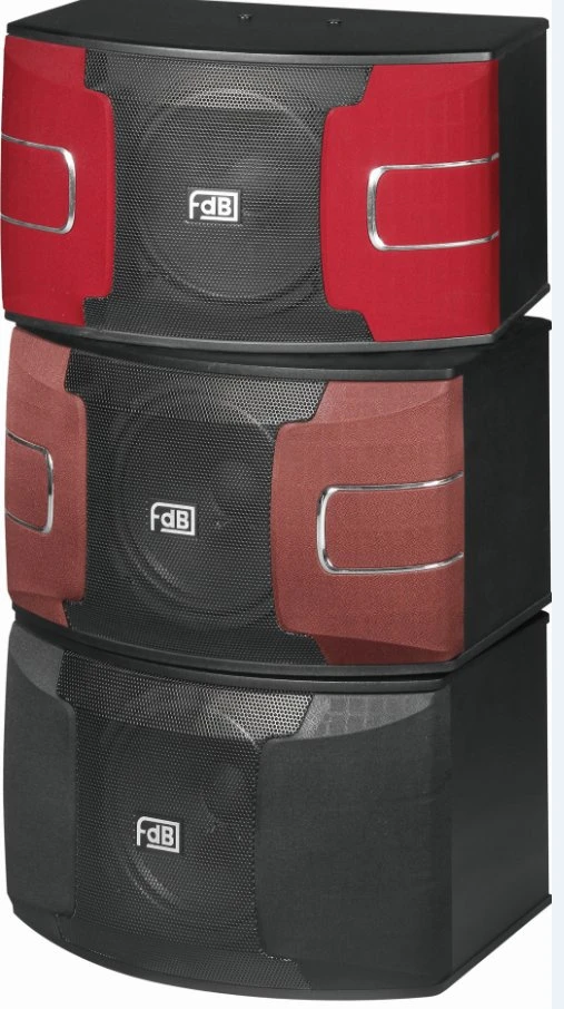 Three-Way 10″ Karaoke/Ktvspeaker