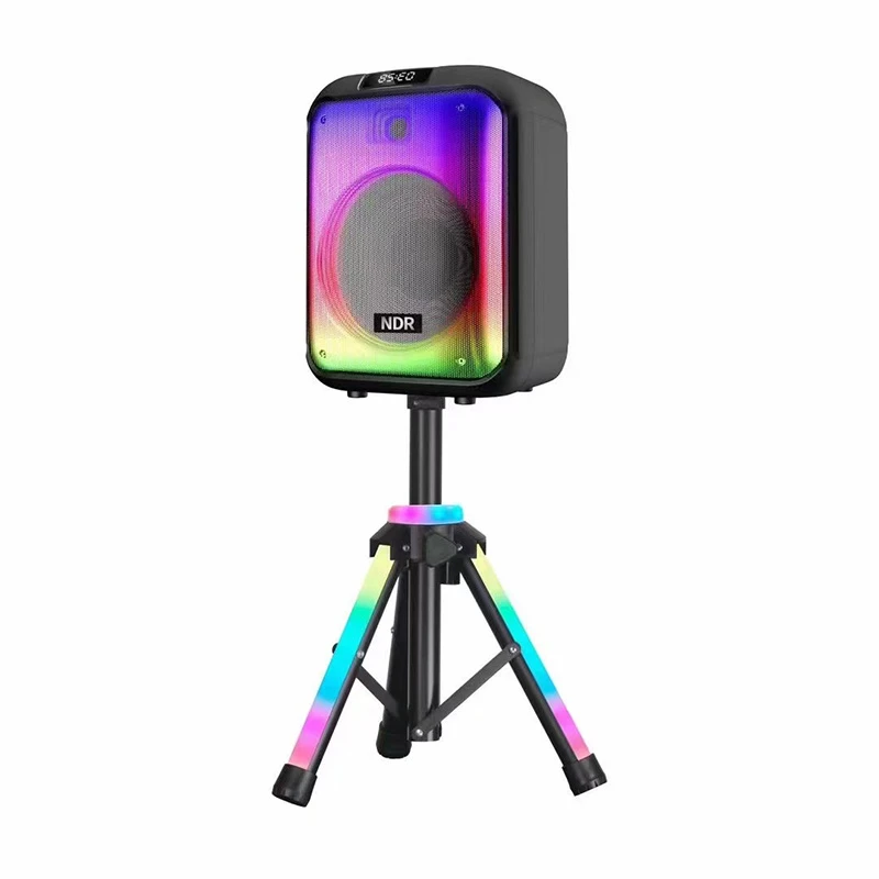 Tianlai 12 Inch Sounds Audio System Equipment Speakers Portable Wireless Stand DJ Karaoke Speaker with Mic and Bluetooth