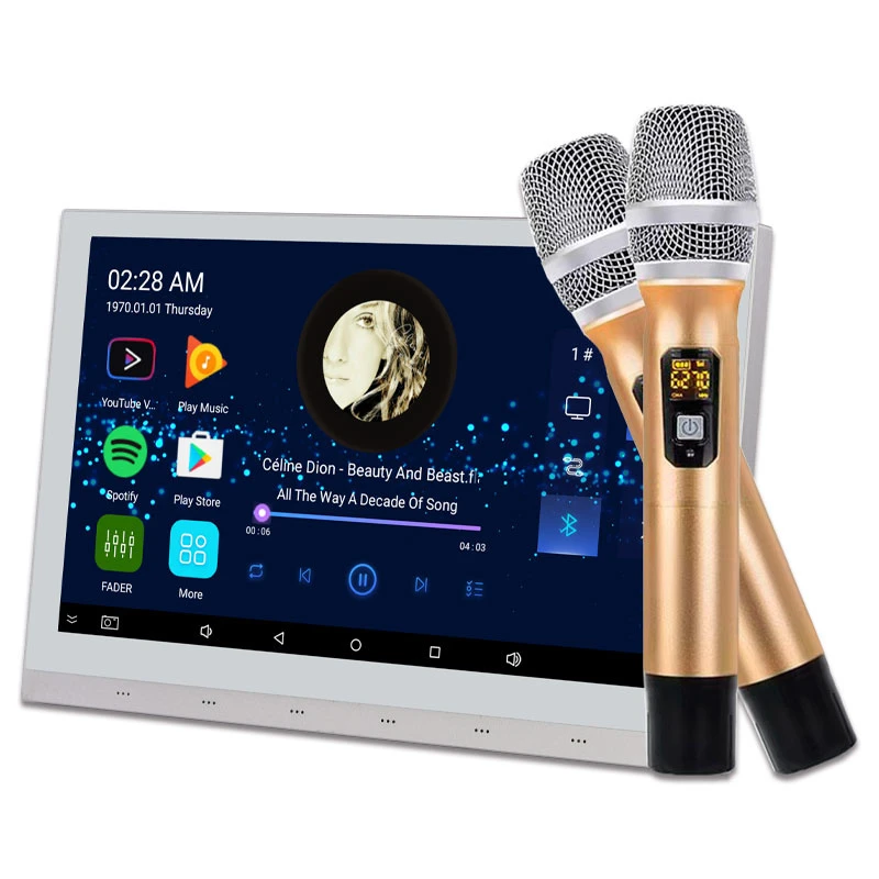 Tianlai 2 Zone Karaoke Amplifier for Home Audio System with Two Microphone