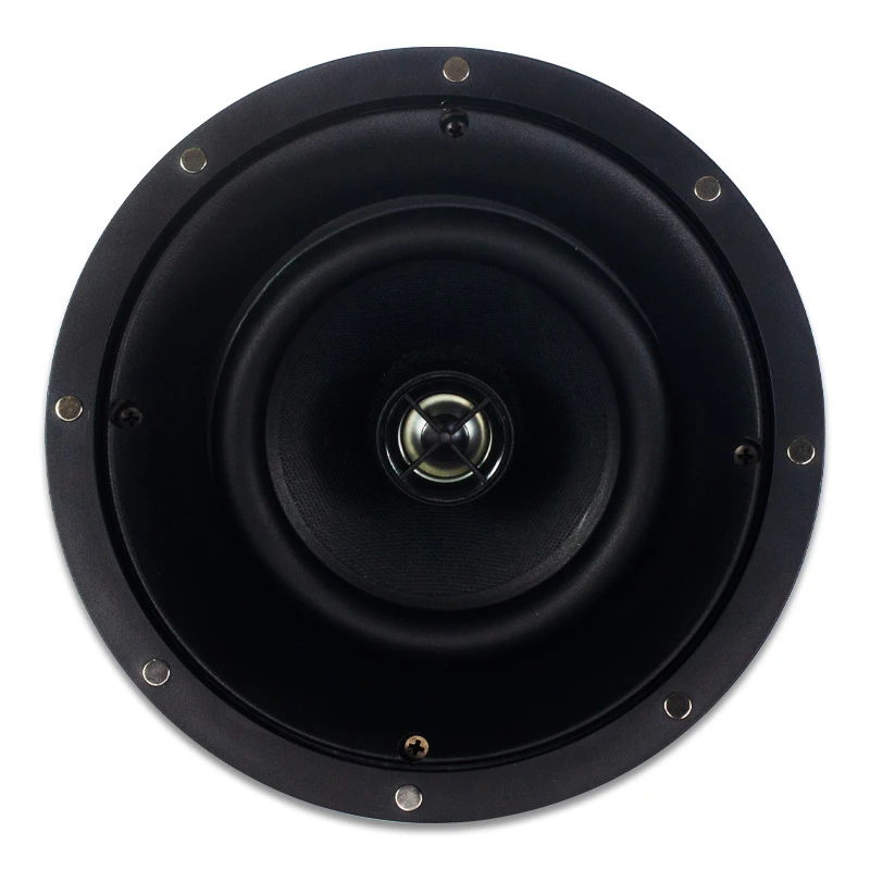 Tianlai Smart Home High End Loudspeaker 6.5 Inch 60W Ceiling Speaker Speakers