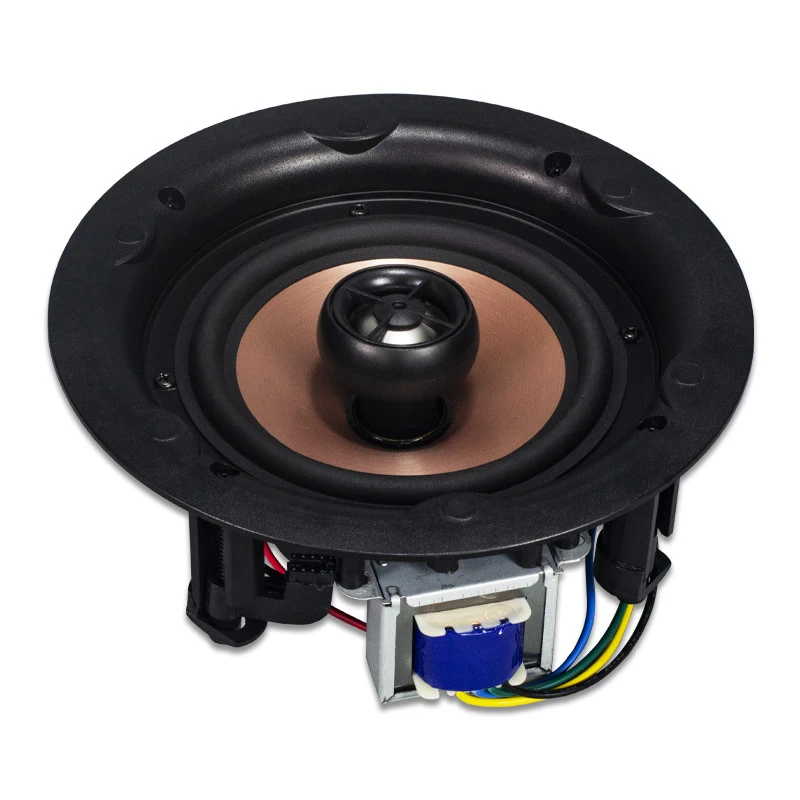Tianlai Sound Equipment Customizable Bluetooth Ceiling Speaker